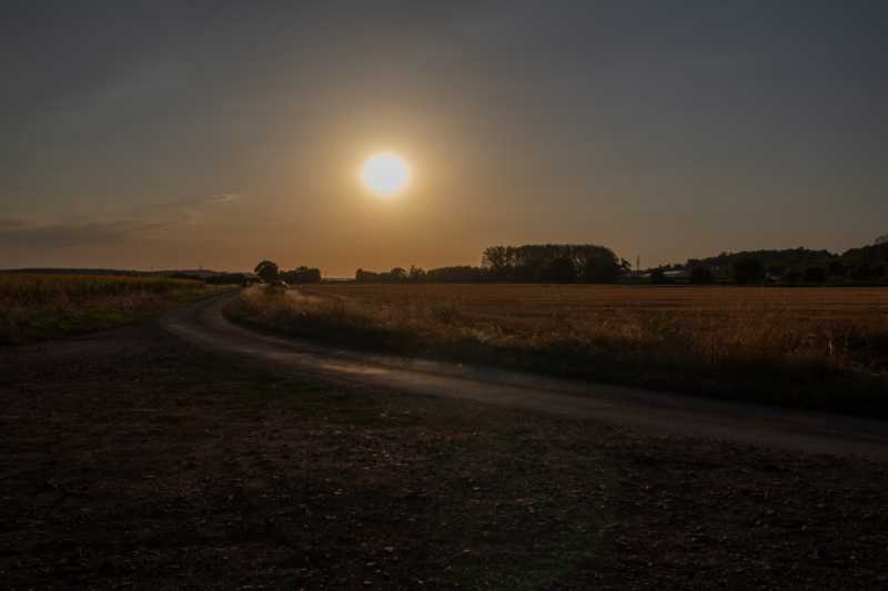 IMG 0083 web