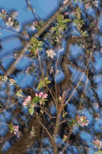 IMG 0923 bis IMG 0923 bis