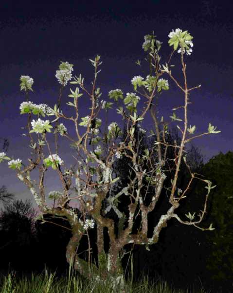 P1050708tri P1050708tri