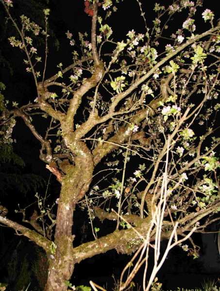 IMG 0928bis IMG 0928bis