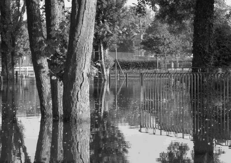 T15 2021 SYM o.d 101 T15 2021 SYM o.d 101