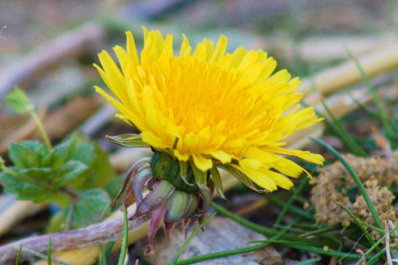 EXP 2022 JAU PBA 102 EXP 2022 JAU PBA 102