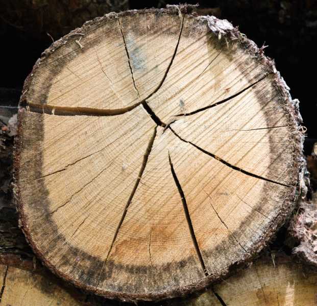 T15 2022 GEO PBA 100 T15 2022 GEO PBA 100