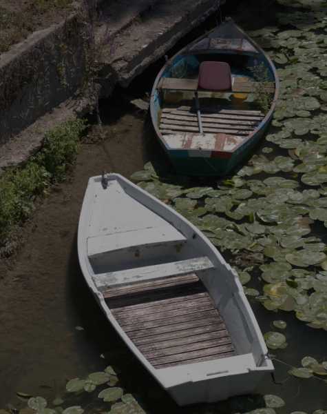 T15 2022 VAC PBA 101