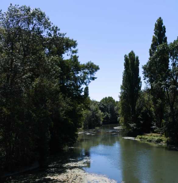 T15 2022 VAC PBA 100