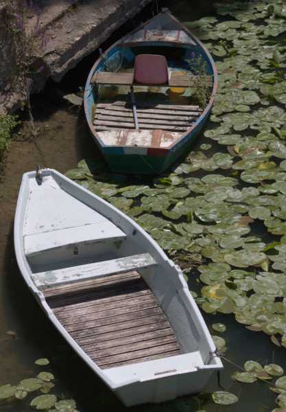 T15 2022 VAC PBA 101