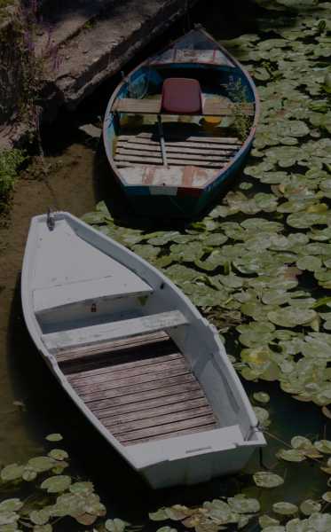 T15 2022 VAC PBA 101 1