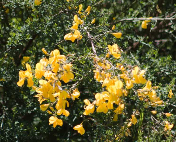 T30 2023 FLS PBA 101