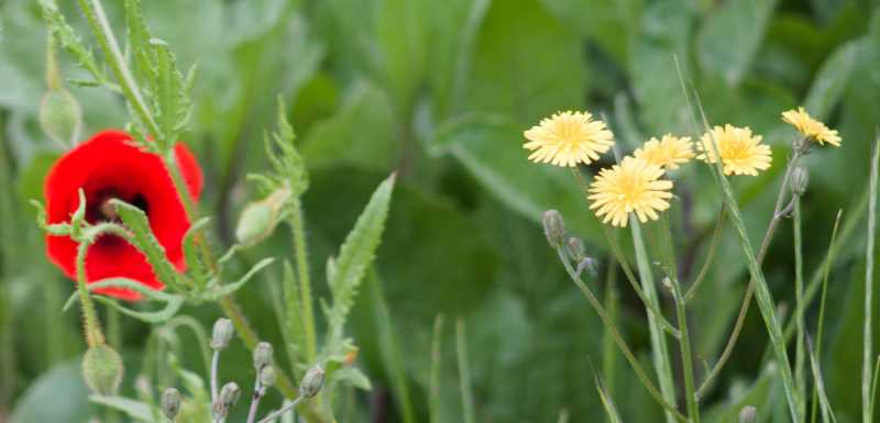 T30 2023 FLS PBA 103