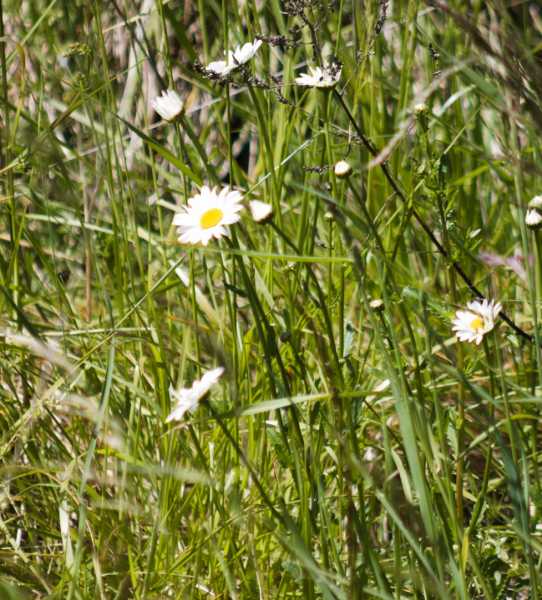 T30 2023 FLS PBA 100