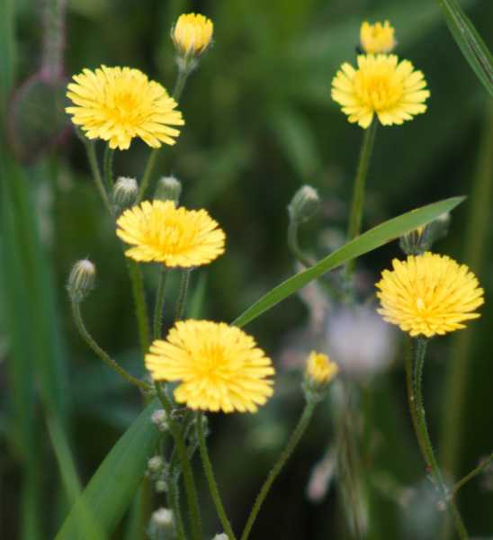 T30 2023 FLS PBA 105