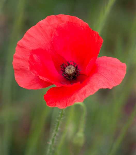 T30 2023 FLS PBA 106