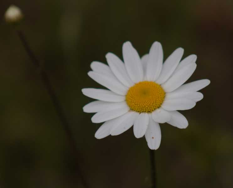 T30 2023 FLS PBA 104