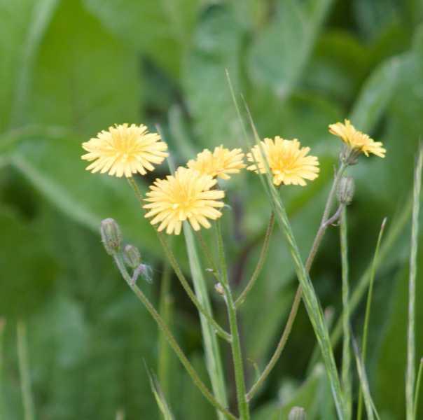 T30 2023 FLS PBA 103