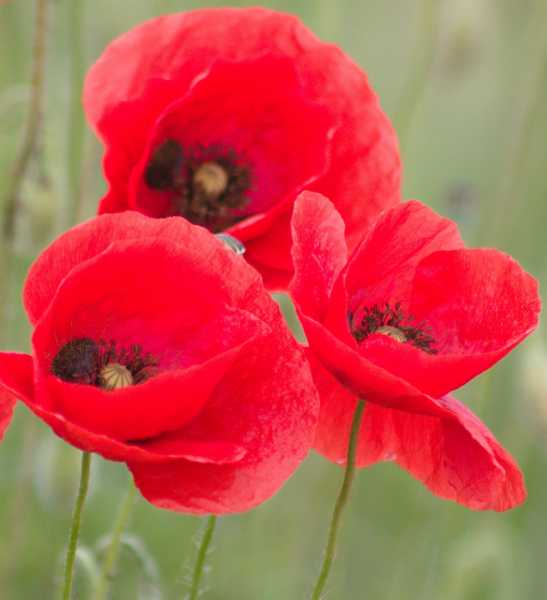 T30 2023 FLS PBA 102