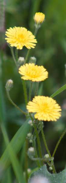 T30 2023 FLS PBA 105