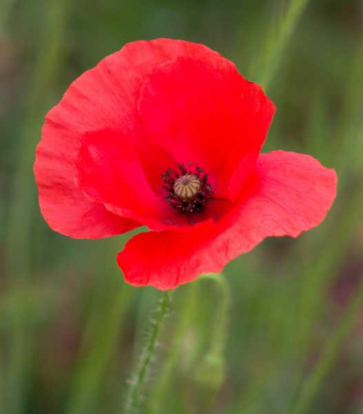 T30 2023 FLS PBA 106