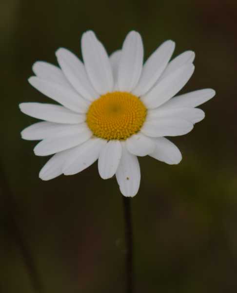 T30 2023 FLS PBA 104