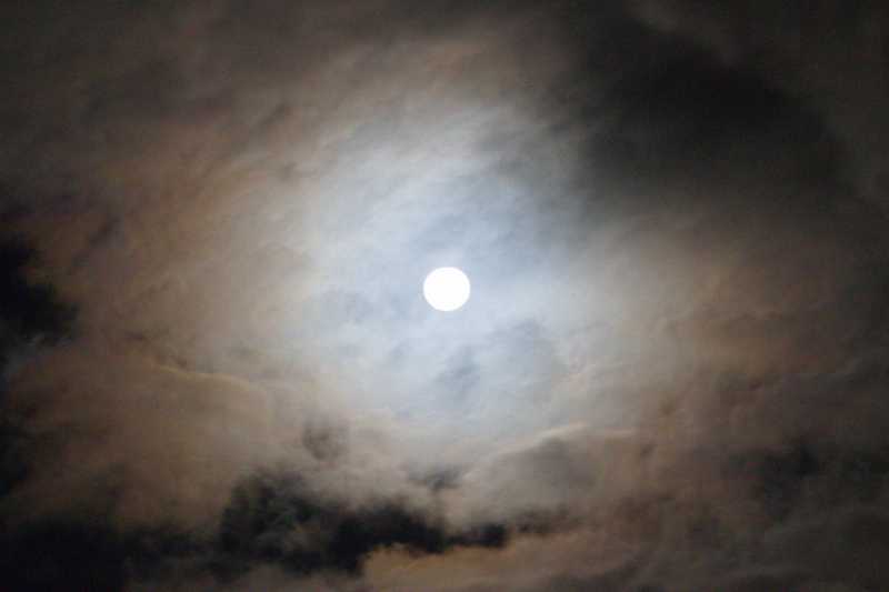 T60 2023 NUI PBA 103