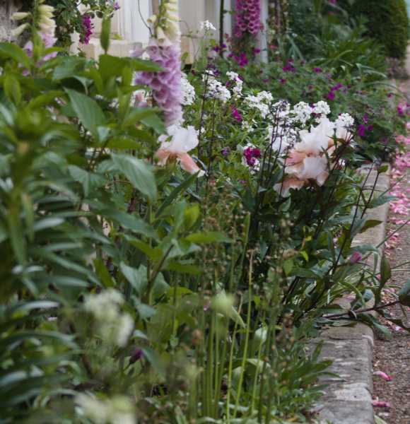 T1 2024 CHE PBA 100 T1 2024 CHE PBA 100