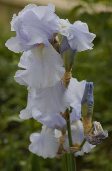 T1 2024 CHE PBA 108 T1 2024 CHE PBA 108