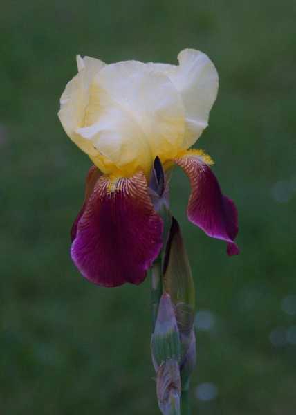 T1 2024 CHE PBA 109 T1 2024 CHE PBA 109