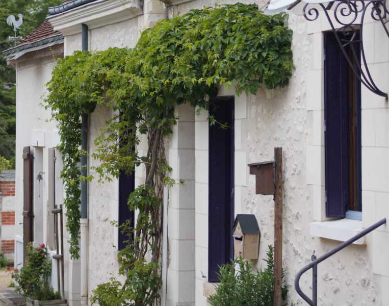 T1 2024 CHE PBA 105 T1 2024 CHE PBA 105