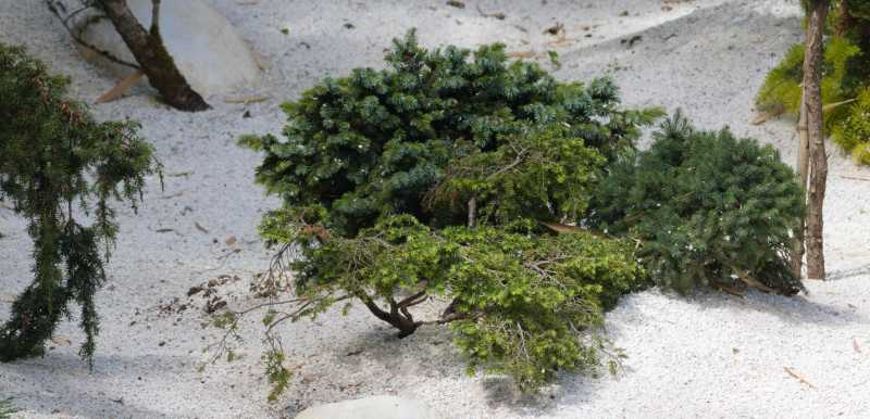 2024 07 CHA PBA 107 2024 07 CHA PBA 107