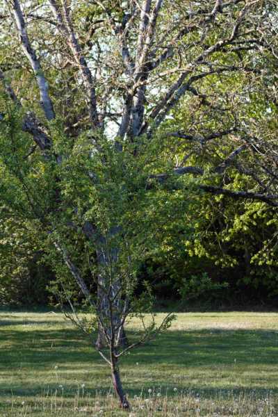 IMG 0473 bis IMG 0473 bis