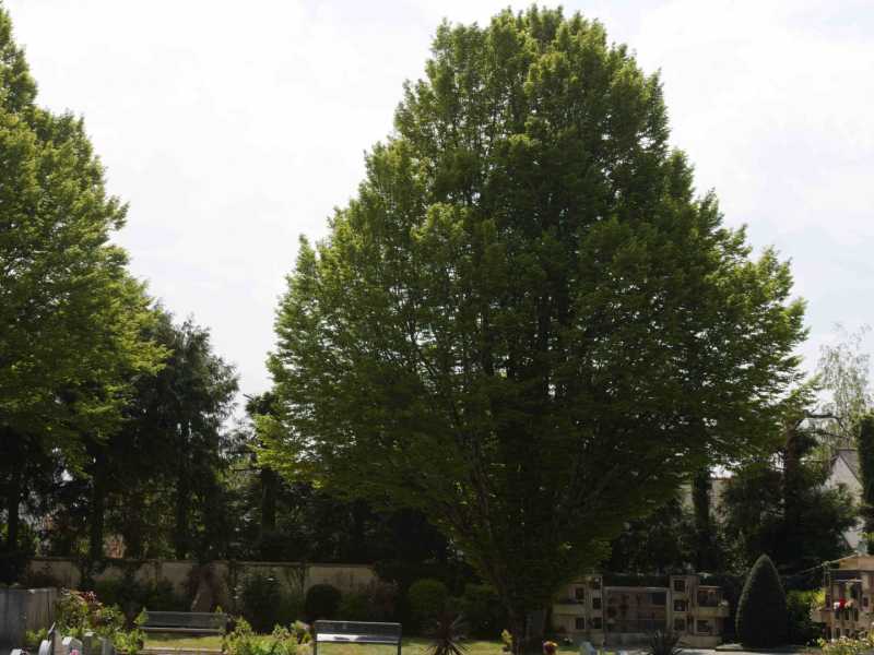 IMG 0501bis IMG 0501bis