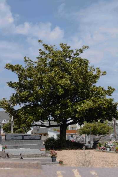 IMG 0506bis IMG 0506bis