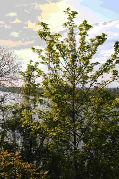 IMG 0511bis IMG 0511bis