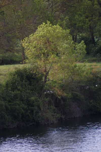 IMG 0517bis IMG 0517bis