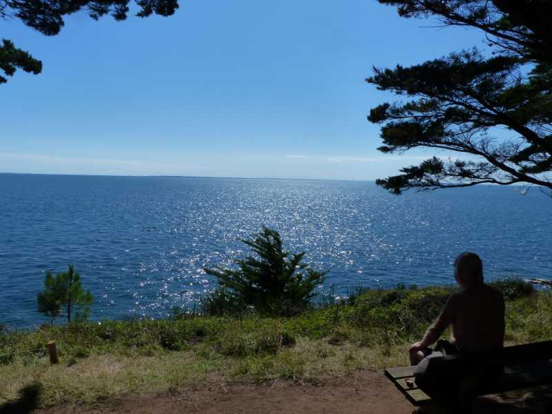 EXP 2022 SOL SME 101