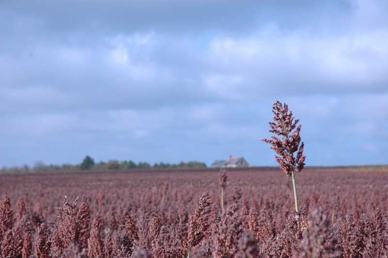 EXP 2022 SOL SME 102