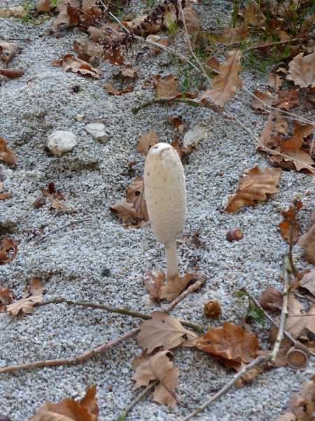 EXP 2022 SOL SME 103