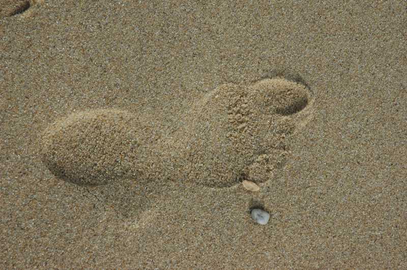 2022 EMP SME 101  (2)