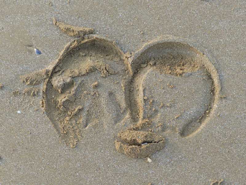 2022 EMP SME 101  (1)