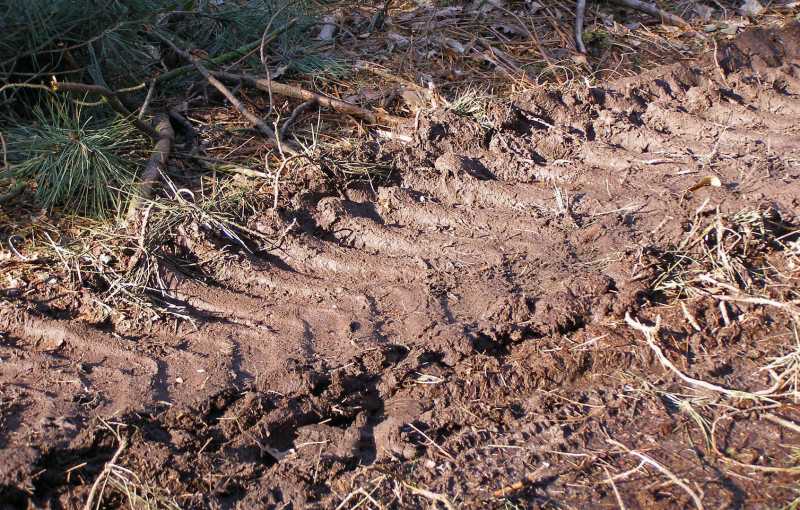 2022 EMP SME 107 2022 EMP SME 107