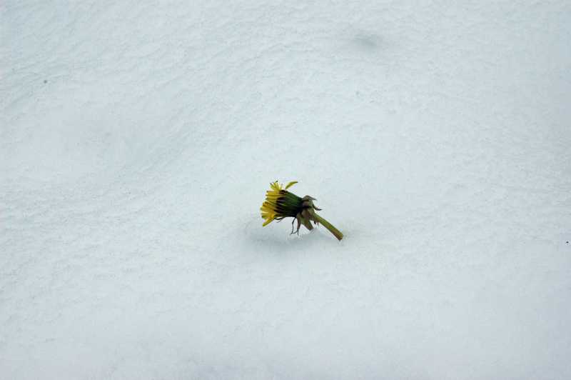 EXP 2022 SOL SME 104 EXP 2022 SOL SME 104