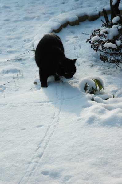 EXP 2022 SOL SME 107 EXP 2022 SOL SME 107