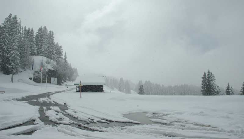 EXP 2022 SOL SME 109 EXP 2022 SOL SME 109