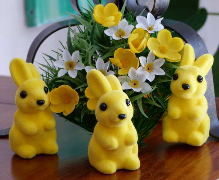 EXP 2022 JAU SME 111