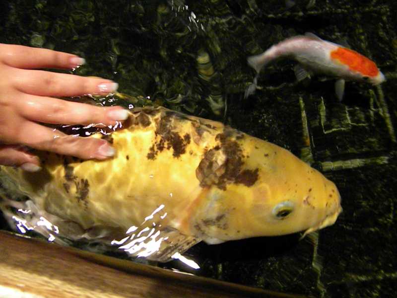 EXP 2022 JAU SME  113 (1)