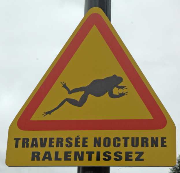 EXP 2022 JAU SME  114