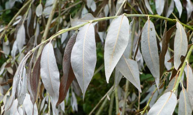 T15 2022 GEO SME 104