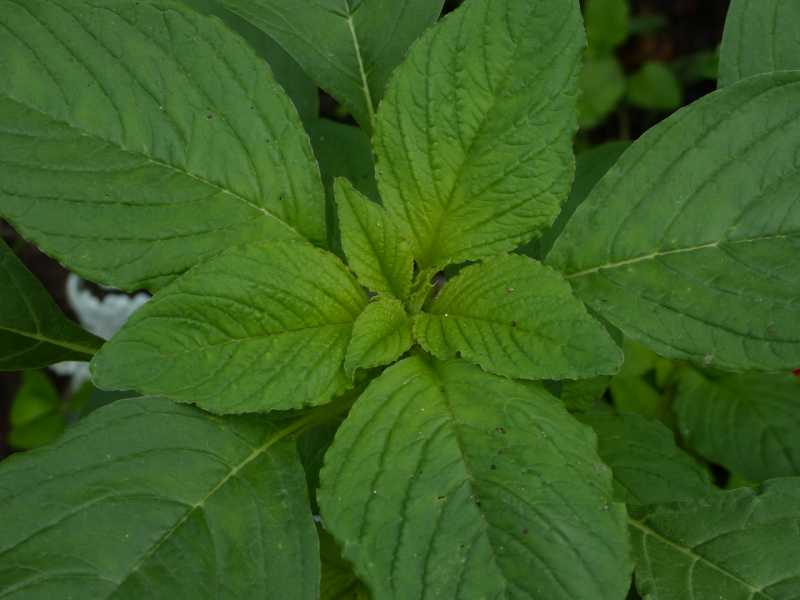 T15 2022 GEO SME 106