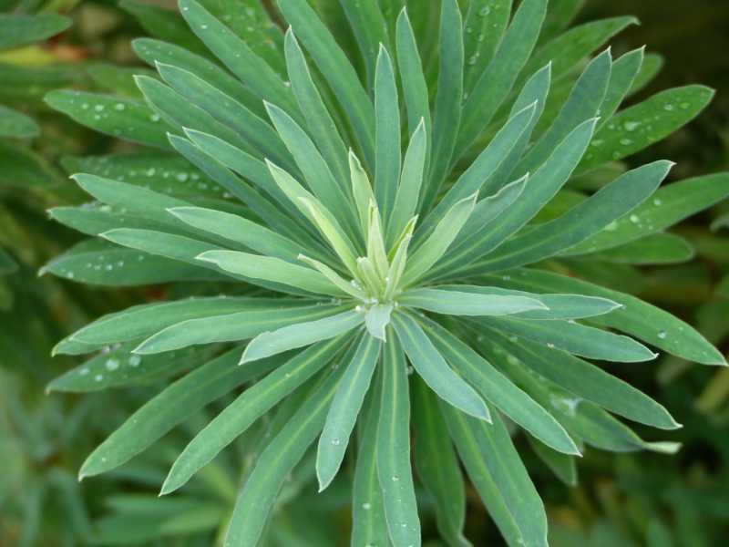 T15 2022 GEO SME 102