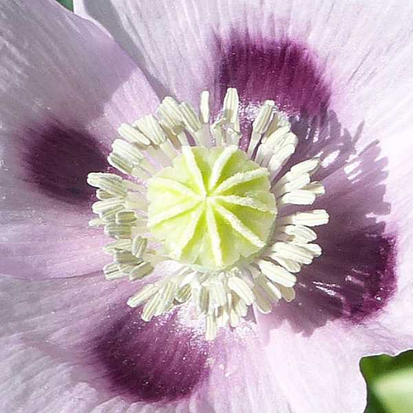 T15 2022 GEO SME 101