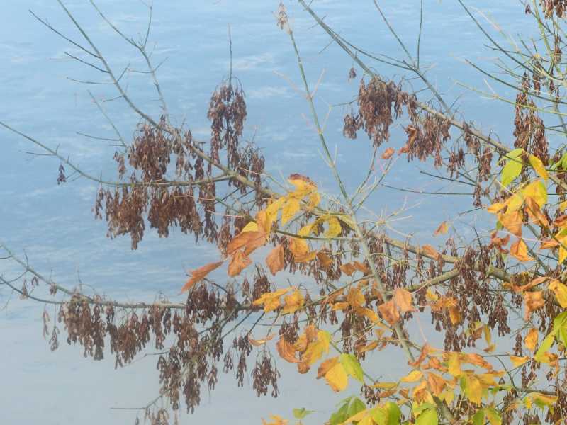 T15 2022 AUT SME 103